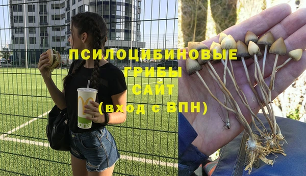 кокаин VHQ Гусиноозёрск