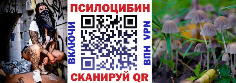 закладка Ельня Галлюциногенные грибы ЛСД